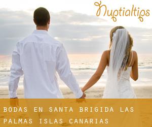 bodas en Santa Brígida (Las Palmas, Islas Canarias)