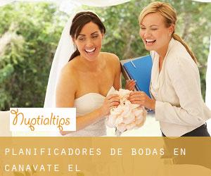 Planificadores de bodas en Cañavate (El)