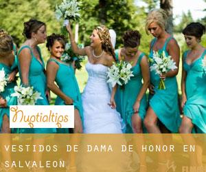 Vestidos de dama de honor en Salvaleón