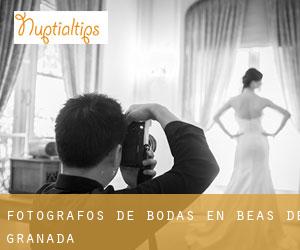 Fotógrafos de bodas en Beas de Granada