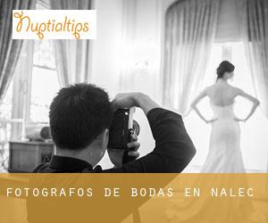 Fotógrafos de bodas en Nalec