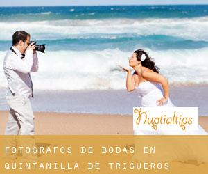 Fotógrafos de bodas en Quintanilla de Trigueros